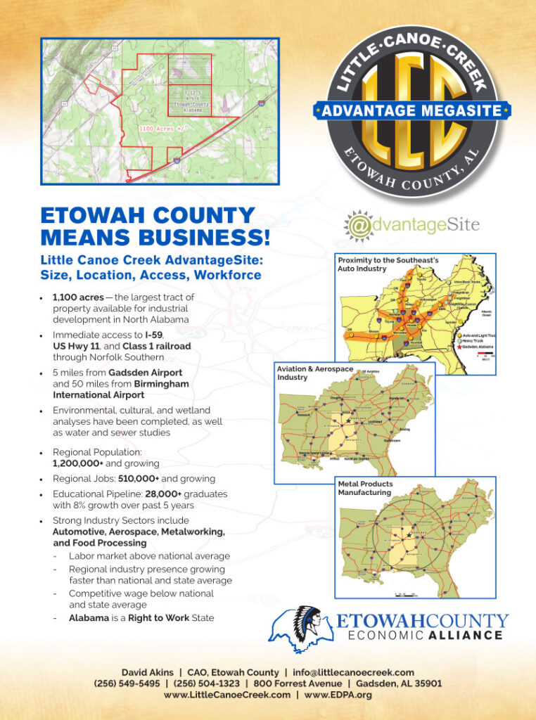 LCC Advantage Megasite Flyer